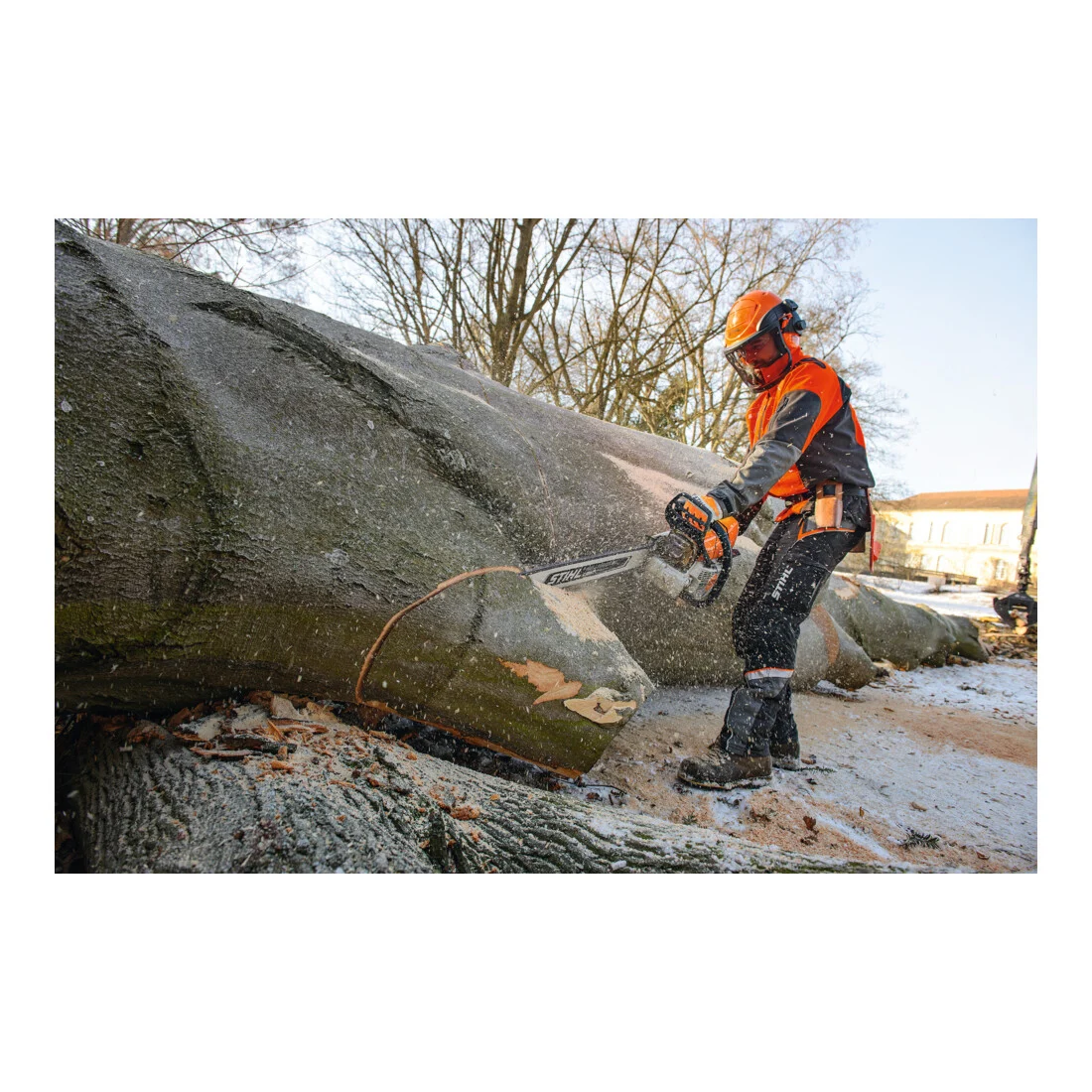 CDE455F Stihl Tronçonneuse à essence MS 661 C-M, RH, 71 cm — image 2