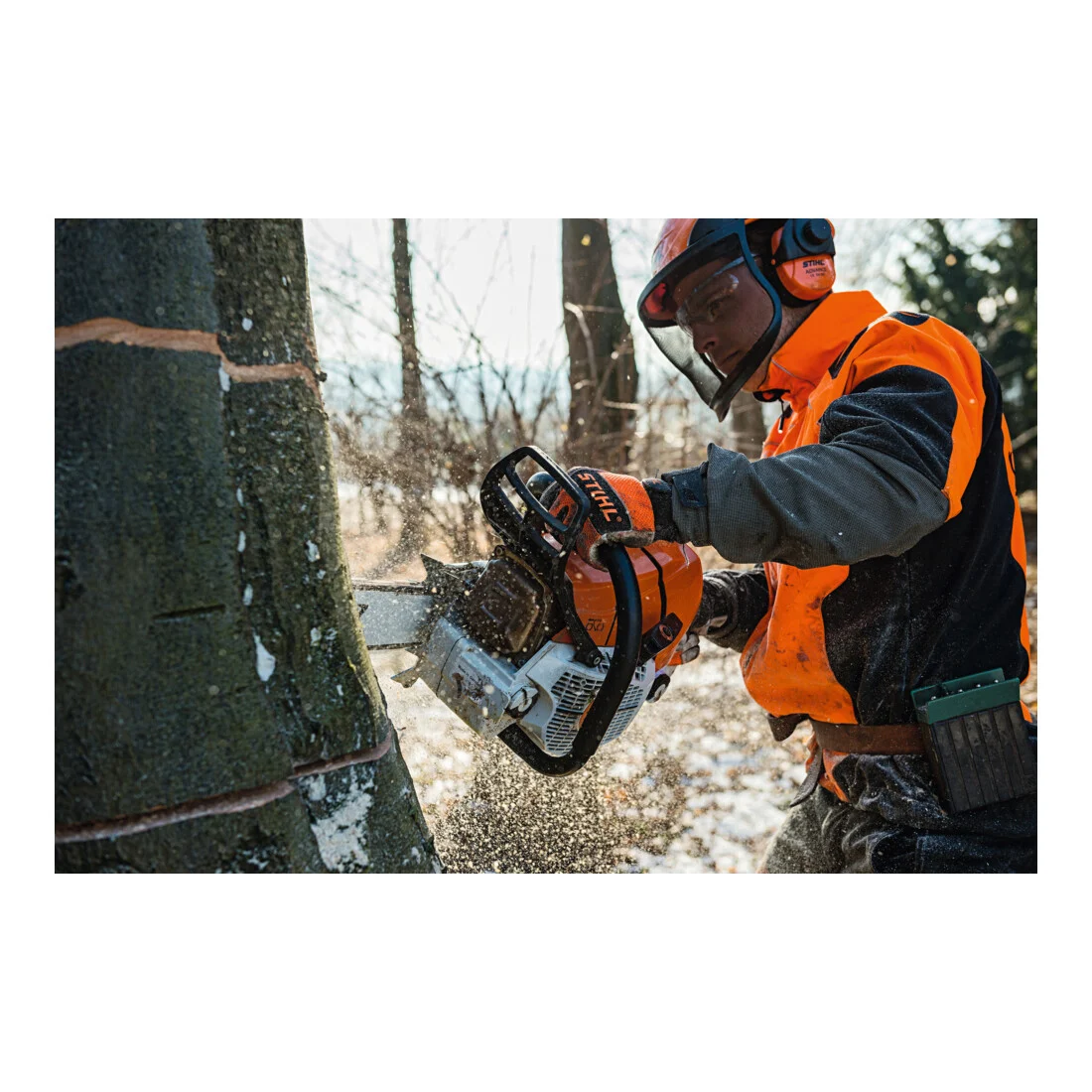 FFR56 Stihl Tronçonneuse à essence MS 661 C-M, RH, 71 cm — image 5
