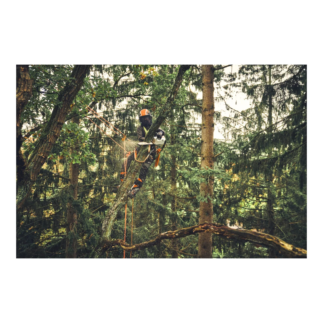 VCD45TF Stihl MSA 220.0 TC-O à batterie avec capteur d'huile — image 8